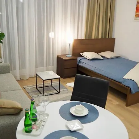 Apartment Nr 4 Close To Medicover And Paley Institute *